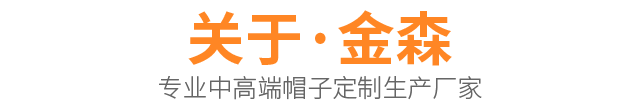 关于金森